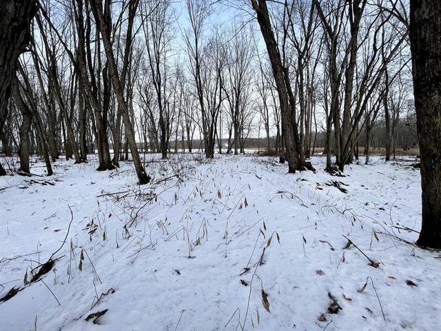 Terre/Terrain : Sentier au boisé, partie basse, vue sur l'eau.