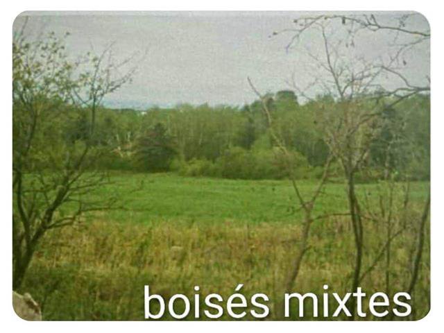 Vue d'ensemble