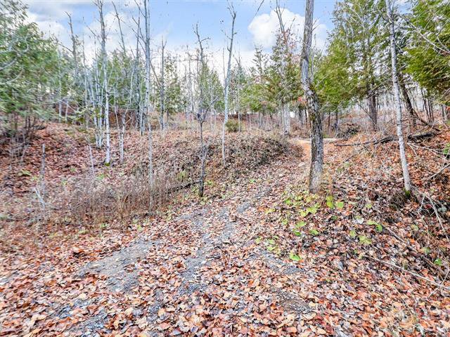 Land/Lot