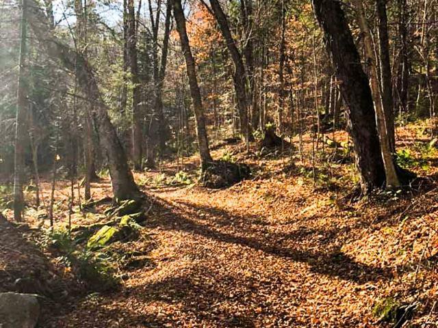 Sentier à proximité