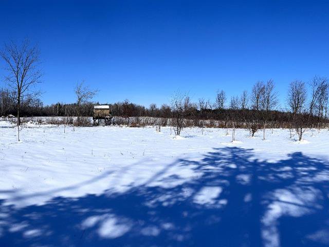 View on the field and forest at the West
