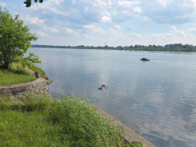 Bord de l'eau