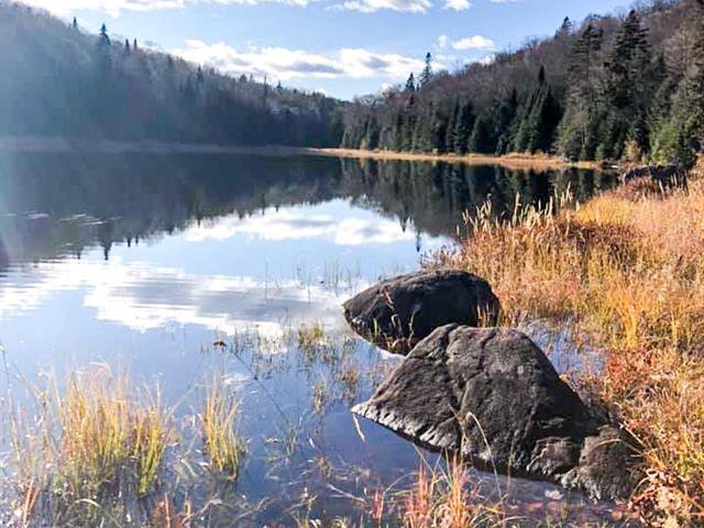 Waterfront : Lac Davis