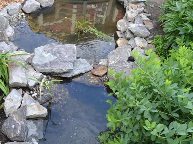 Bassin d'eau