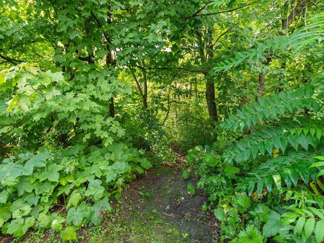 Sentier