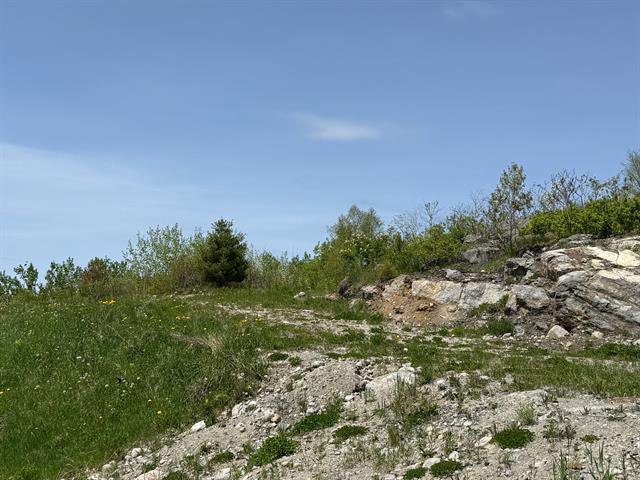 Terre/Terrain