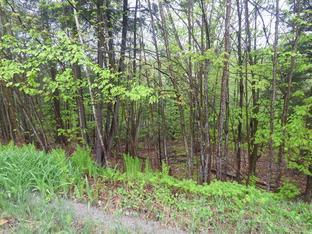 Land/Lot