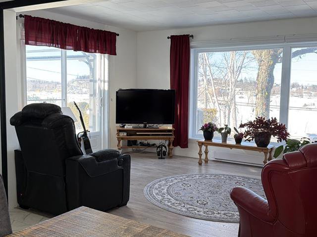 Salon : Vue sur la rivière et parc des îles.