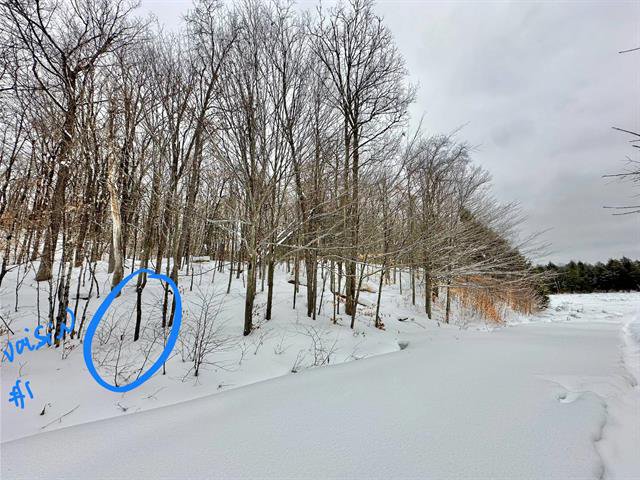 Terrain Gore - Rue McCaughey