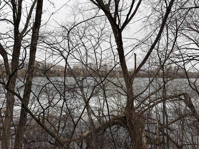 Vue sur l'eau