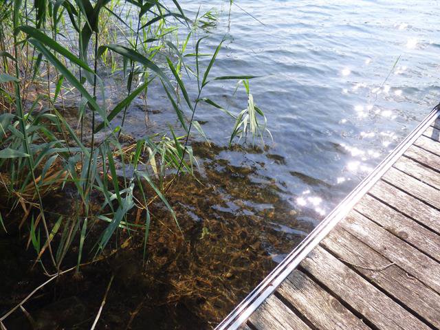 Bord de l'eau