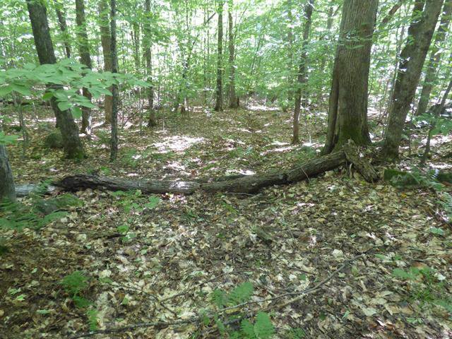 Terre/Terrain