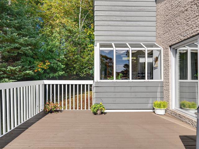 Terrasse : Patio