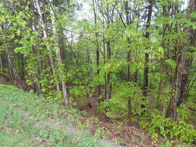 Land/Lot