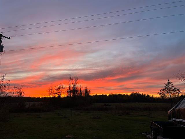 View : to the West on the forest, rear of the house
