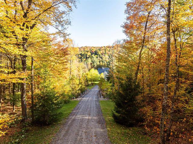 En haut de l'allée en automne