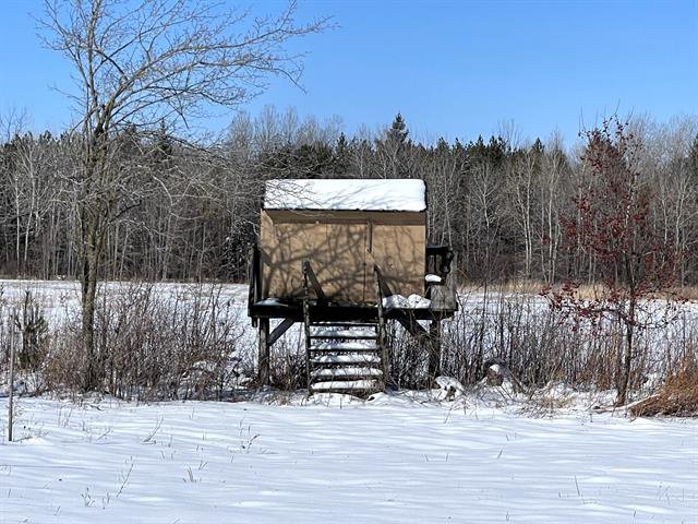 Woodland : Deer observation post
