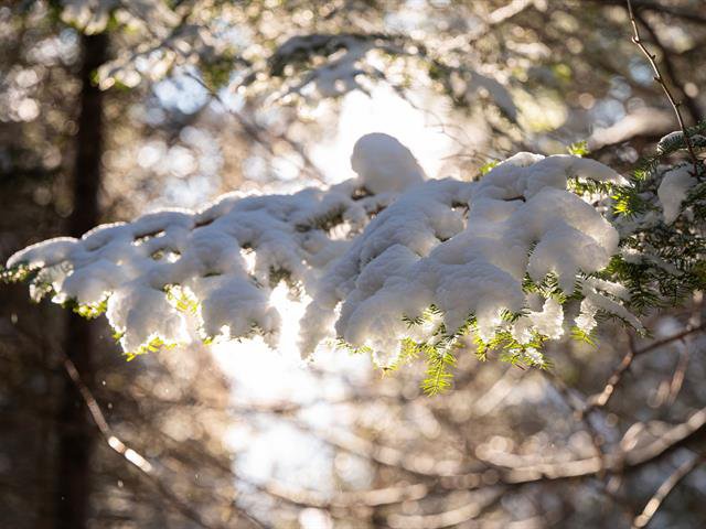 La beauté de la nature
