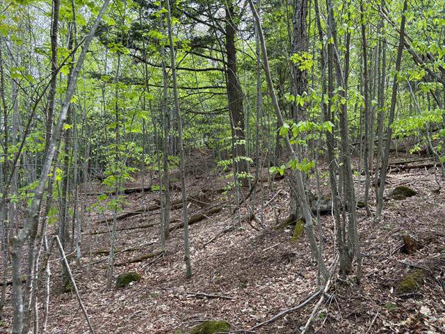 Land/Lot