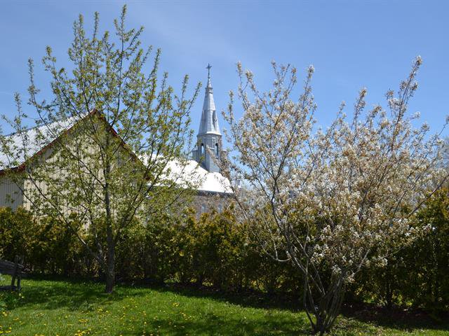 Overall View