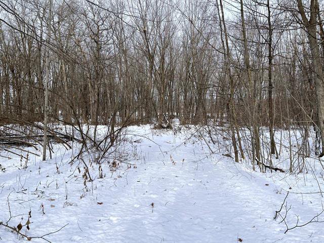 Terre/Terrain : Accès au terrain allant à la clairière.