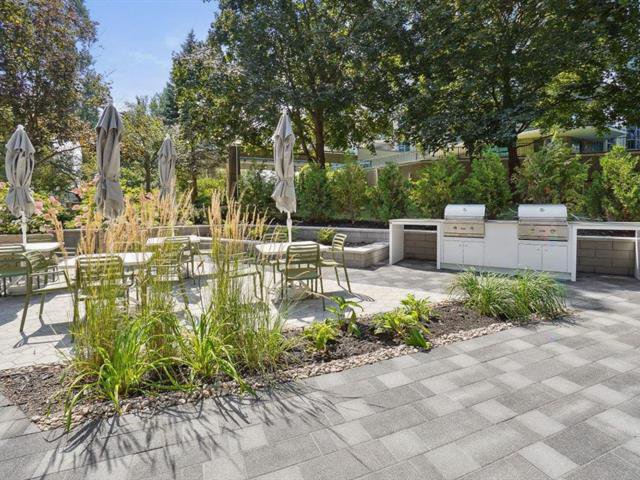 Swimming pool Terrace BBQ