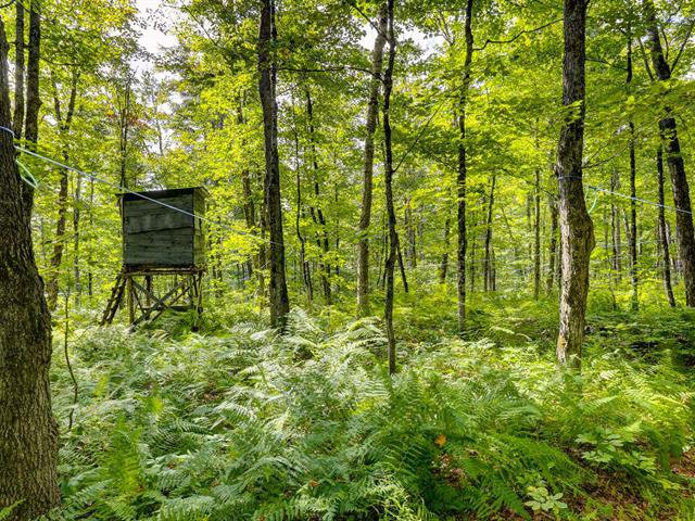 Cache pour la chasse