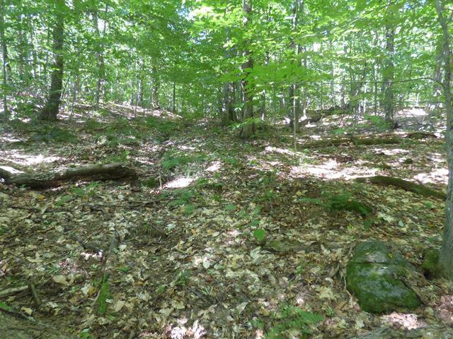 Terre/Terrain