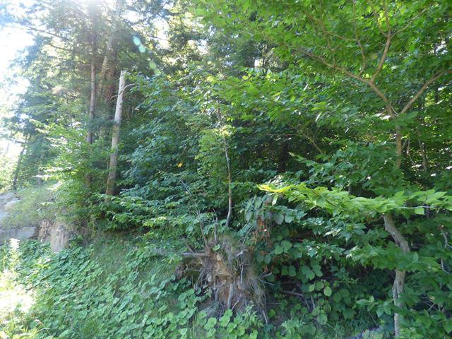 Terre/Terrain