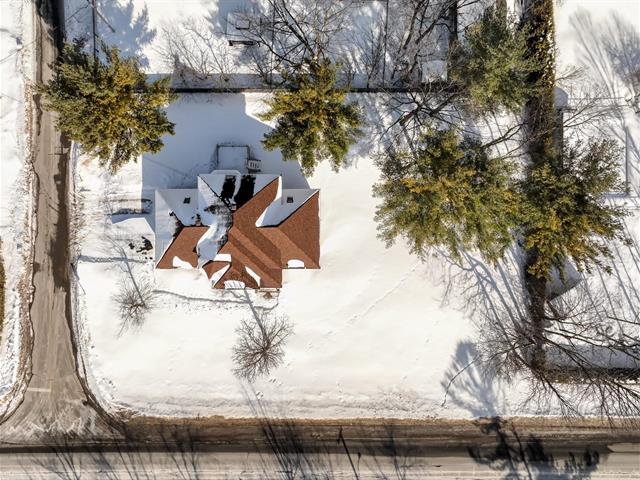 Terre/Terrain : Terrain bois