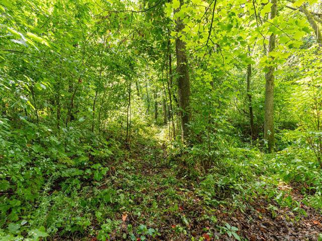 Sentier