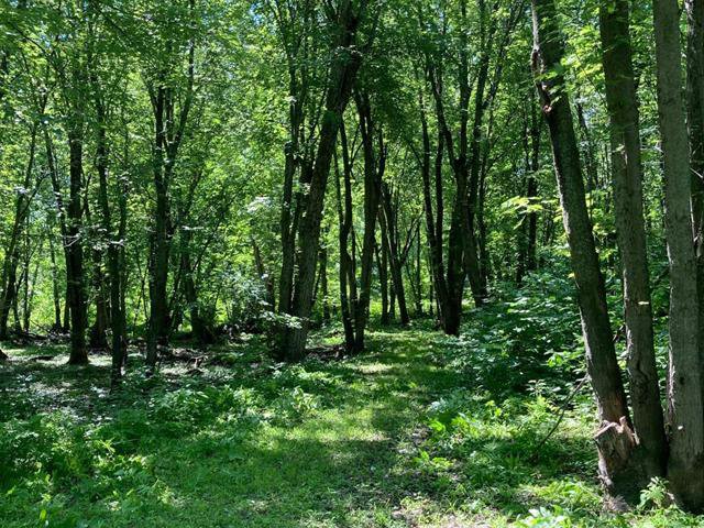 Boisé : Sentier partie basse inondable accédant au plateau