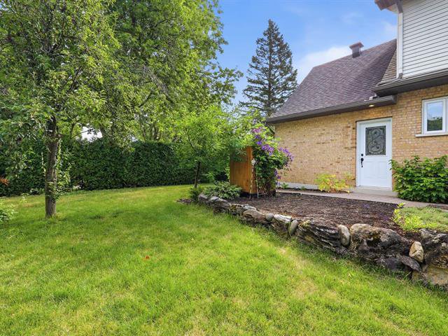 Overall View
