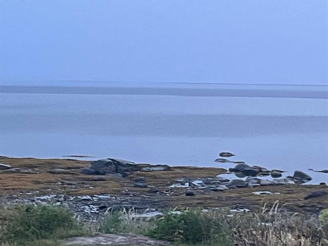 Bord de l'eau