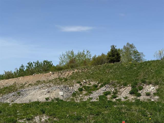 Terre/Terrain