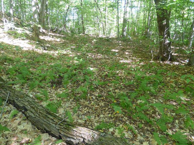 Land/Lot