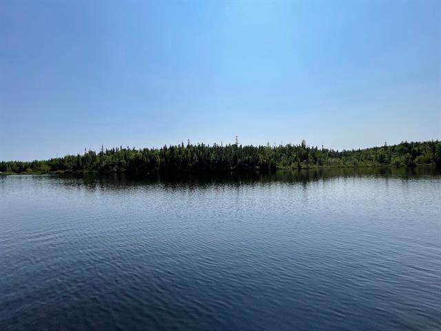 Vue sur l'eau