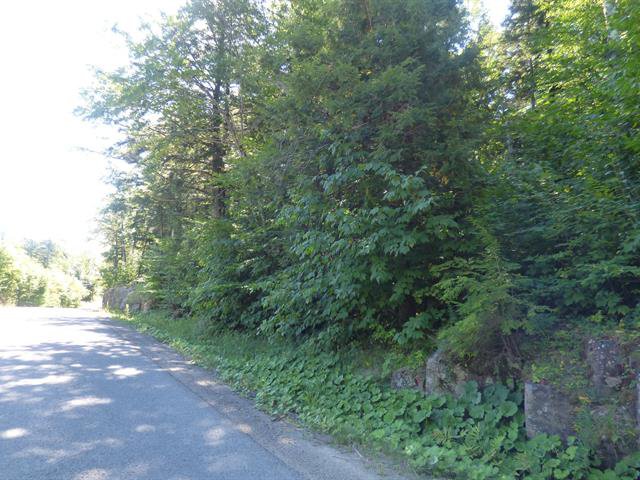 Land/Lot
