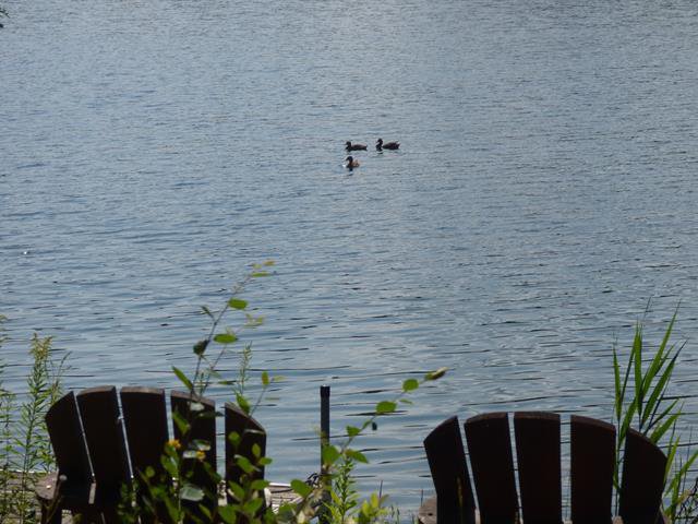 Bord de l'eau