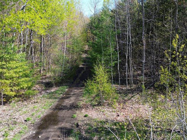 Land/Lot