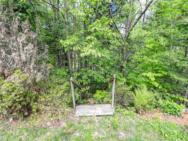 Wooded area