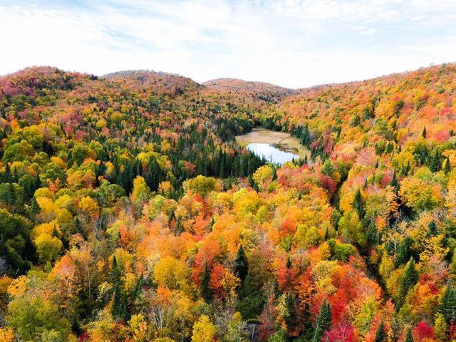 Terrain Sainte-Agathe-des-Monts - Ch. Gascon