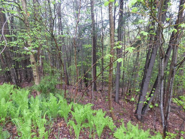 Land/Lot