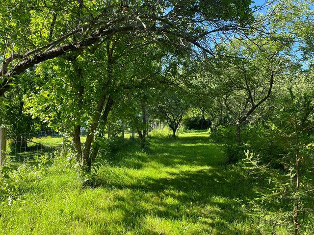 Land/Lot