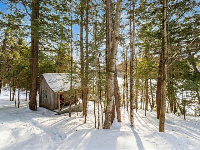 Sauna : Maisonnette de sauna au lac