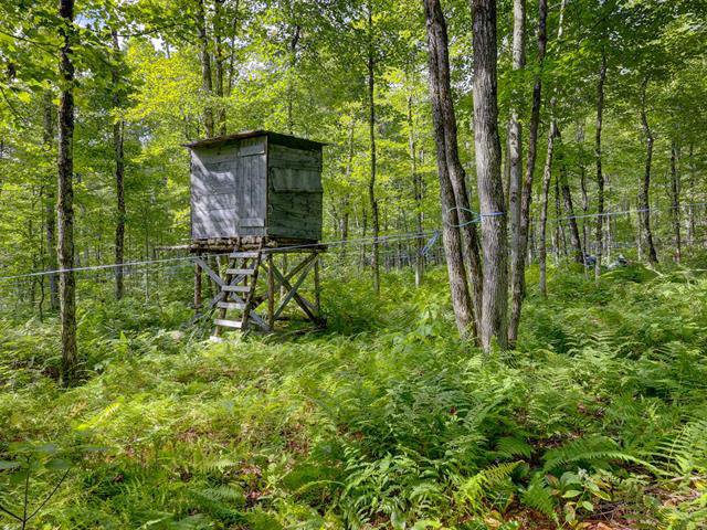 Cache pour la chasse