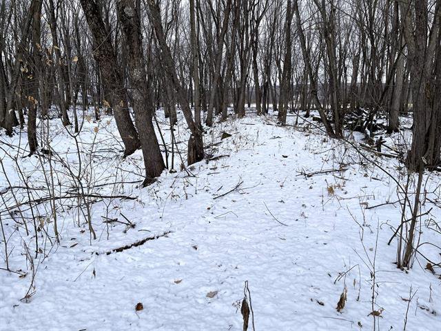 Terre/Terrain : Sentier au boisé, partie basse.