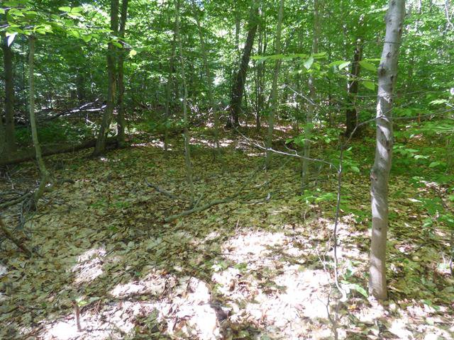 Land/Lot