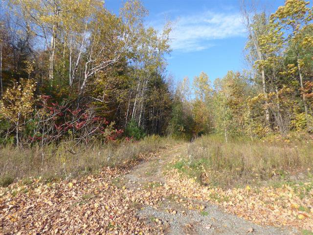 Land/Lot