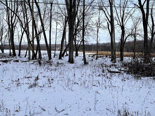 Terre/Terrain : Sentier au boisé, partie basse, vue sur l'eau.